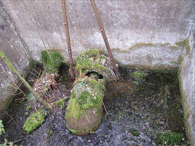 Vestiges de scierie Jeancolas, chambre d'eau et turbine.