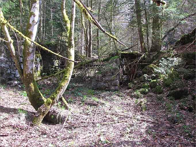 Vue d'ensemble des ruines.