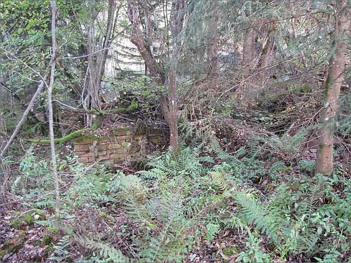Ruines de la scierie de la Belotte.