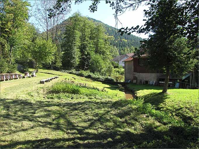 Scierie de la Sciotte, élévation antérieure et bief.