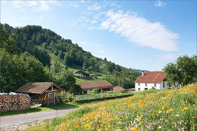 Vue générale des bâtiments.