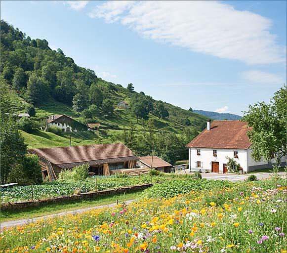 Vue d'ensemble des bâtiments.