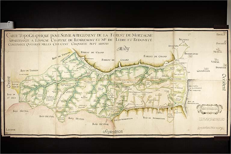 Carte topgraphique pour servir au réglement des forêts de Mortagne.
