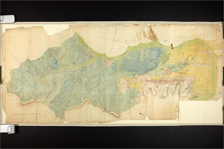 Carte topgraphique parcellaires des forêts de Mortagne.