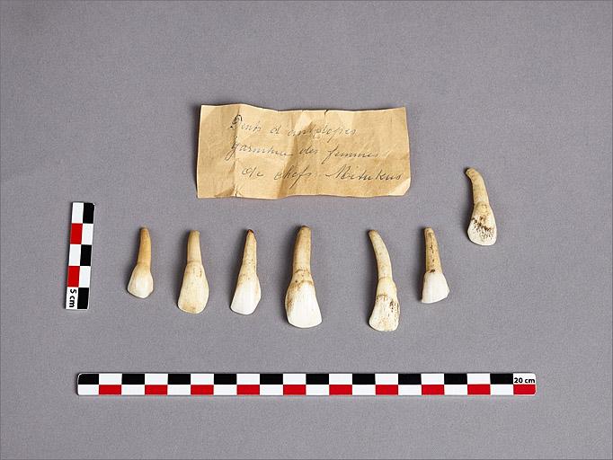 Éléments de collier : garniture des femmes de chefs