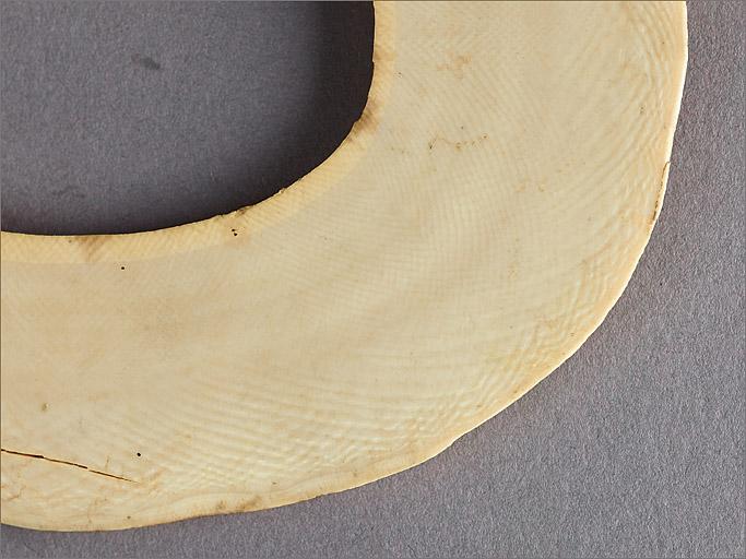 Eléments de défense d'éléphant, détail du matériau.