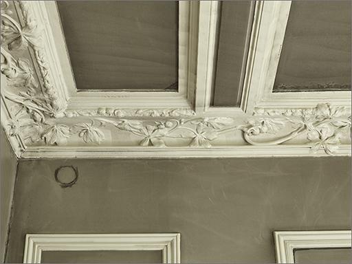 Ensemble du décor intérieur du jardin d'hiver : plafond ; revêtement de sol ; porte