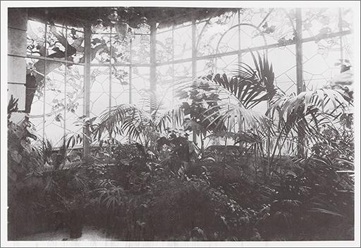 Corpus de comparaison : jardin d'hiver (localisation inconnue).
