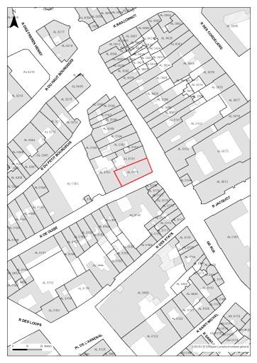 Pan de masse (extrait cadastral).