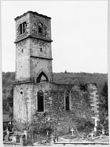 Vue d'ensemble de la ruine depuis le nord.