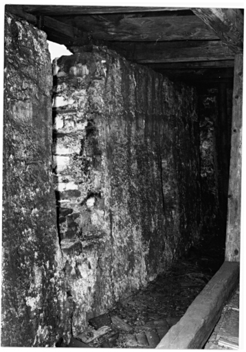 Vue du chemin de ronde de l'ancien rempart, dans la maison No 42 Grand'Rue.