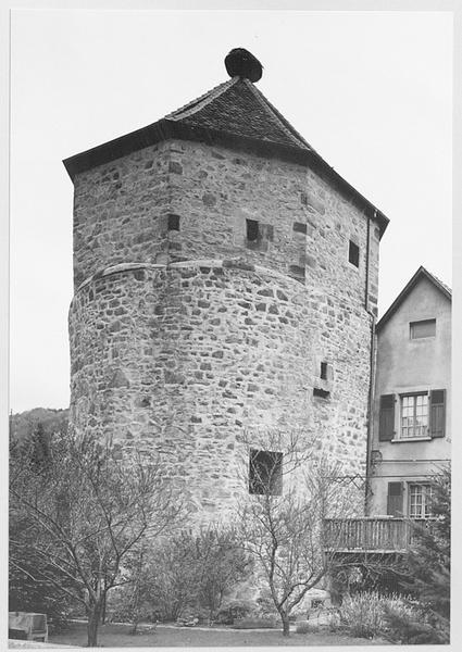 Tour des Cigognes vue du sud-est.