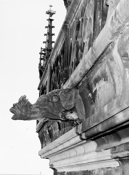 Façade sud du choeur, gargouille sous la corniche (angle avec la chapelle Saint Thiébaut) : animal fantastique.