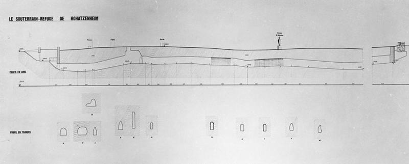 Coupe transversale et longitudinale.