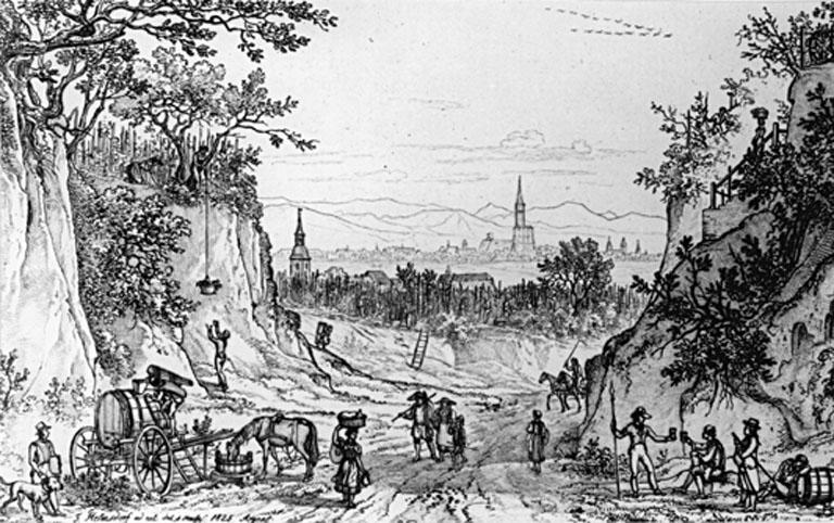 Vue de la route vers Strasbourg, passant entre les coteaux de Hausbergen.