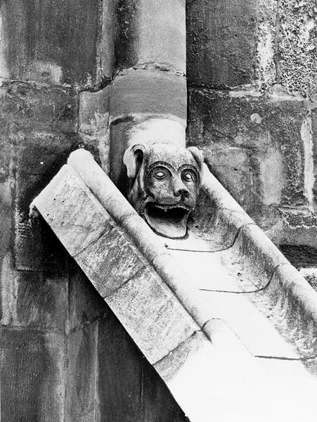 Façade nord, tête sculptée au sommet de l'arc boutant N VIII, gargouille : animal fantastique.