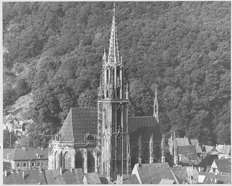 Elévation nord, vue de la colline du Rangen.