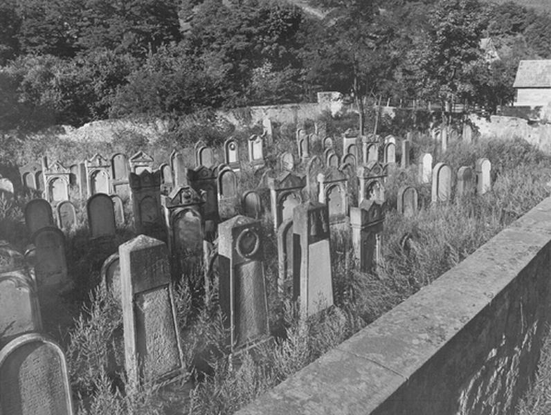 Vue d'ensemble du cimetière juif.