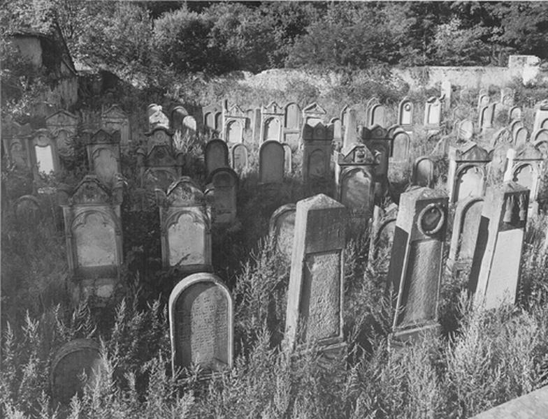 Vue d'ensemble du cimetière juif.