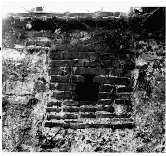 Vue du mur d'enceinte à l'arrière du 11, 13, 15 rue des Franciscains (cour des chaînes), jour au sommet du mur.