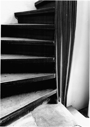 Tourelle d'escalier : départ de l'escalier, avec noyau mouluré et torsadé.