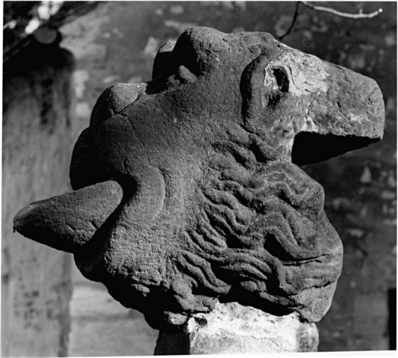 Vue de profil de la gargouille.