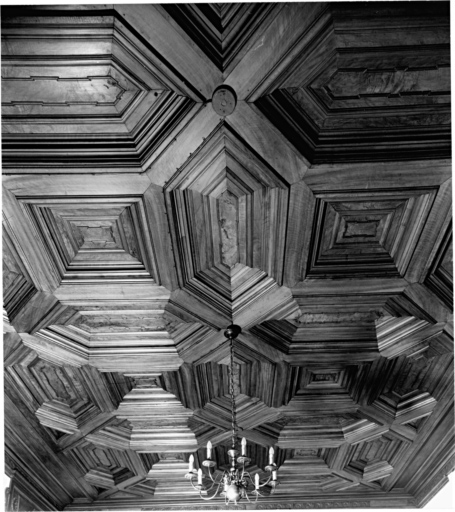 Salon au rez-de-chaussée : vue du plafond à caissons en bois.