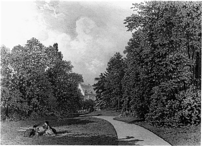 Vue ancienne du jardin anglais.