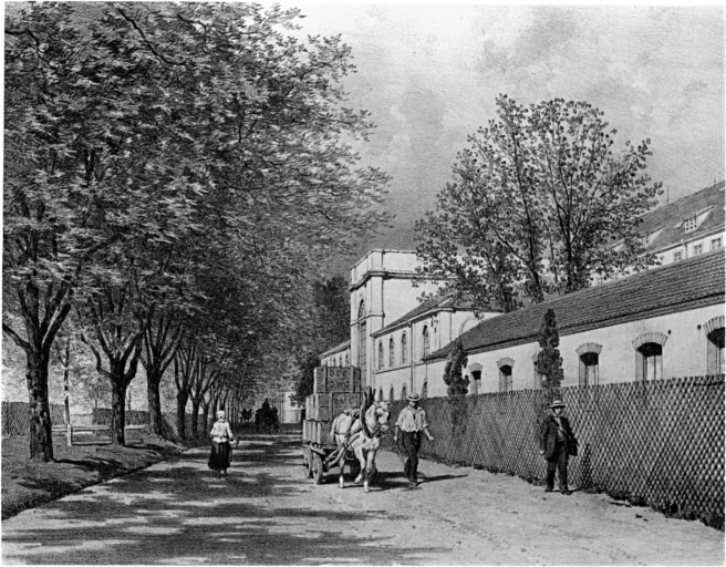 Vue ancienne de l'avenue de platanes, vers la ville, avec bâtiment industriel (Superba).