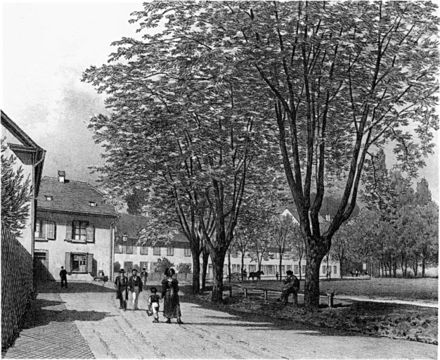 Vue ancienne de l'avenue de platanes, vers le village.