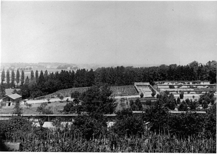 Vue ancienne du Rebberg depuis le Hasenrein.