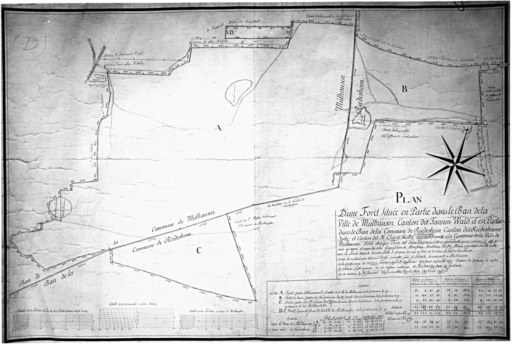 Plan d'une forêt située en partie dans le ban de la ville de Mulhausen. Canton dit Tannenwald et en partie dans le ban de la commune de Riedisheim. Canton dit Riedesheimer Spitz et canton dit St Clara Holtz.