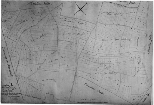 Extrait du plan cadastral de 1827 : section E, Münschberg, quatrième feuille.