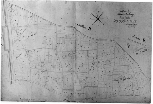 Extrait du plan cadastral de 1827 : section E, Münschberg, première feuille.