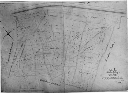 Extrait du plan cadastral de 1827 : section E, Münschberg, troisième feuille.