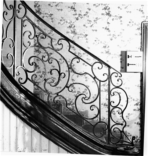 Rampe d'escalier et son départ.