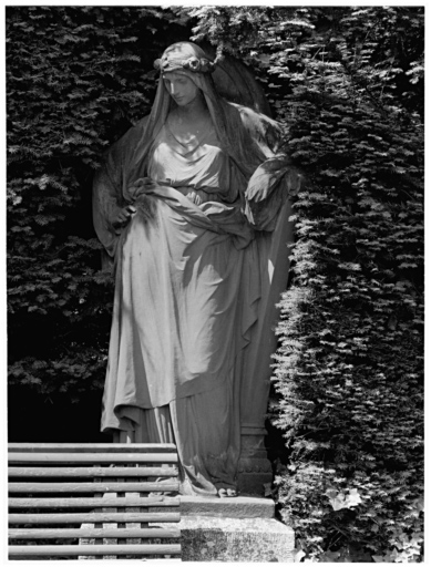 Jeune femme avec une couronne de roses.