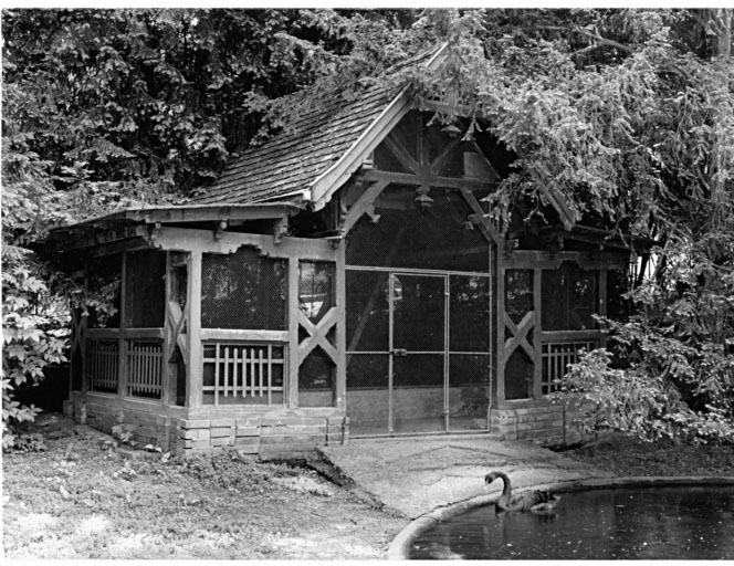 Chalet des canards (D), actuellement des cygnes noirs.