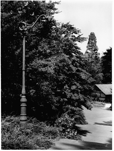 Lampadaire au fond de la maison des zèbres.