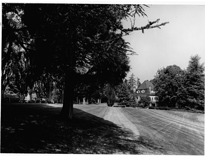 Allée des tilleuls (à l'origine allée des platanes) et entrée inférieure.