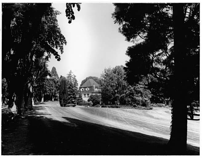 Allée des tilleuls et entrée inférieure.