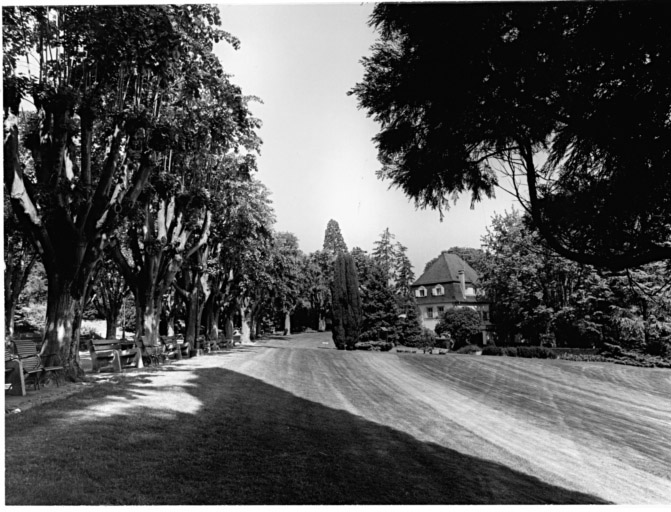 Vue de l'allée des tilleuls et de la maison de l'entrée inférieure.