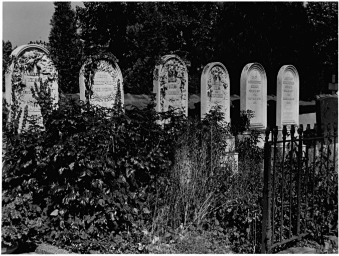 Cimetière protestant : monument sépulcral de Jean Gaspard Weiss et de sa famille (allée a). Vue d'ensemble.