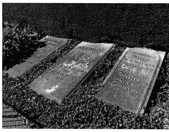 Cimetière protestant : tombeaux de la famille Dollfus (rangée a). Vue d'ensemble.