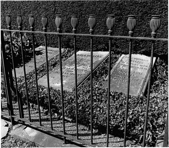 Cimetière protestant : tombeaux de la famille Dollfus (rangée a). Vue d'ensemble.