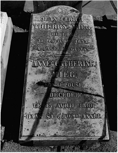 Cimetière protestant : tombeau de Jean Ulrich Thierry-Mieg et de son épouse. Vue d'ensemble.