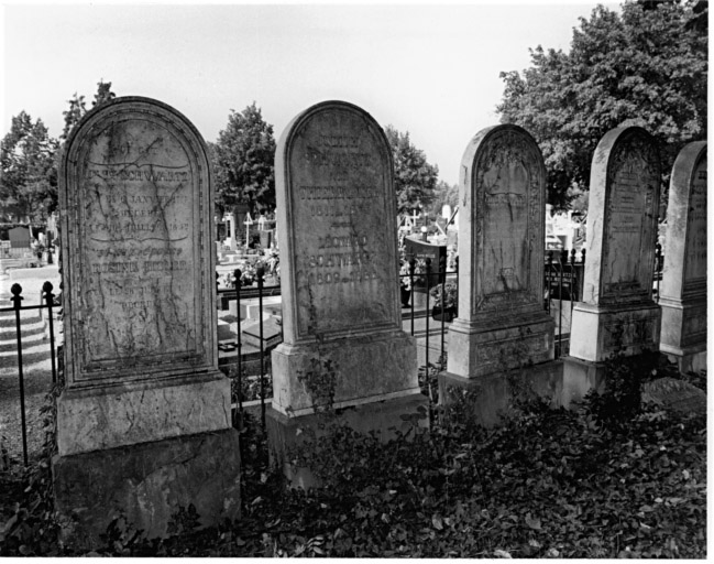 Cimetière protestant : tombeaux de la famille Schwartz (allée b). Vue d'ensemble.