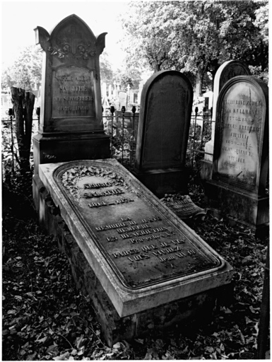 Cimetière protestant : tombeau d'Albert Salathé et de Sophie Adèle Salathé née Schmerber (allée b). Vue d'ensemble.