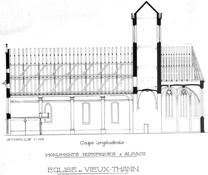 Coupe longitudinale.