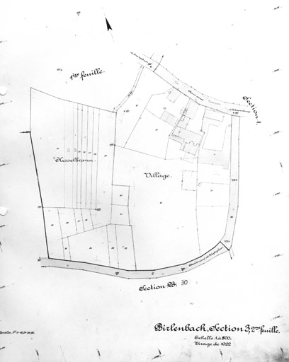 Cadastre du village de Birlenbach. Section 3.